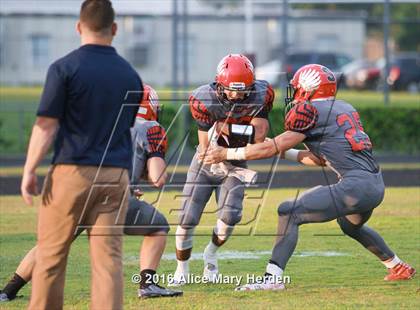 Thumbnail 3 in Mitchell @ Springstead photogallery.