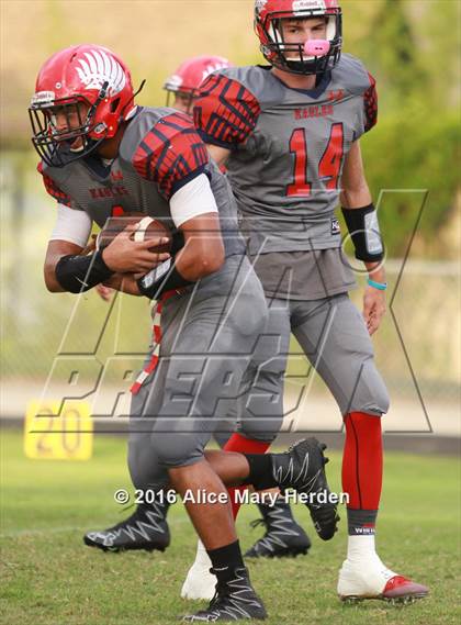 Thumbnail 1 in Mitchell @ Springstead photogallery.