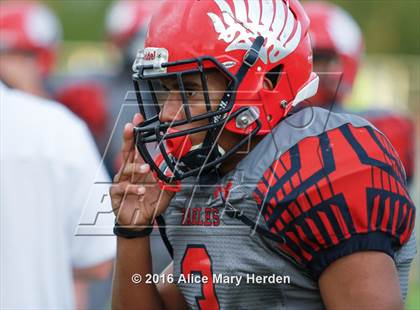 Thumbnail 1 in Mitchell @ Springstead photogallery.