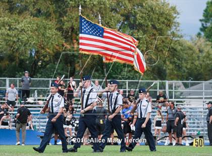 Thumbnail 2 in Mitchell @ Springstead photogallery.