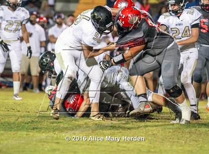 Thumbnail 1 in Mitchell @ Springstead photogallery.
