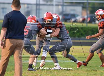 Thumbnail 2 in Mitchell @ Springstead photogallery.