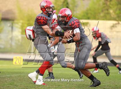 Thumbnail 1 in Mitchell @ Springstead photogallery.