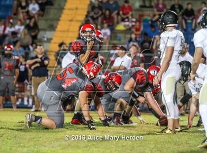 Thumbnail 1 in Mitchell @ Springstead photogallery.