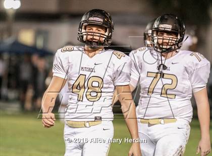 Thumbnail 1 in Mitchell @ Springstead photogallery.