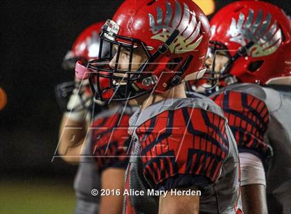Thumbnail 3 in Mitchell @ Springstead photogallery.