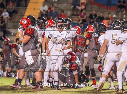 Thumbnail 1 in Mitchell @ Springstead photogallery.