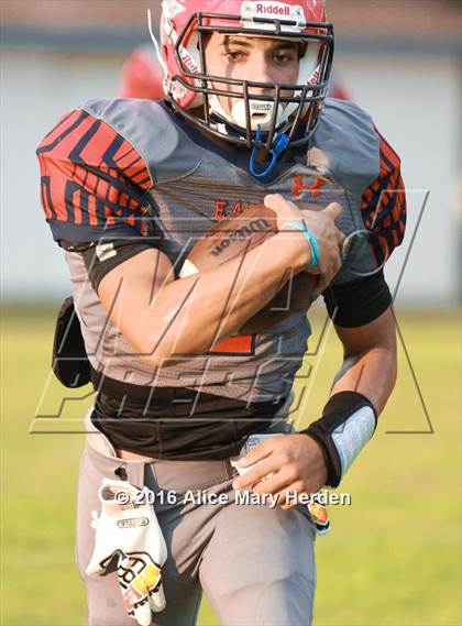 Thumbnail 2 in Mitchell @ Springstead photogallery.