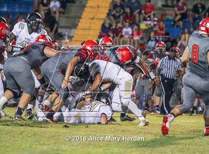 Thumbnail 2 in Mitchell @ Springstead photogallery.