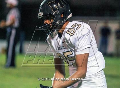 Thumbnail 3 in Mitchell @ Springstead photogallery.