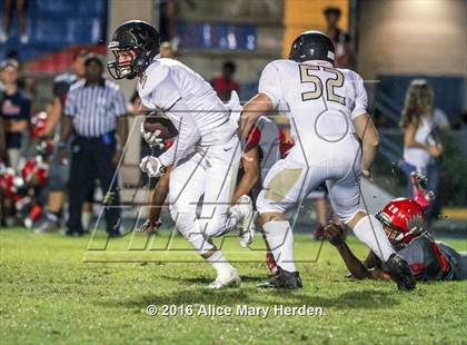 Thumbnail 2 in Mitchell @ Springstead photogallery.