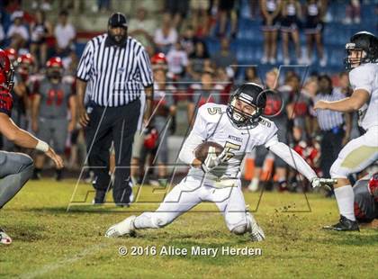 Thumbnail 3 in Mitchell @ Springstead photogallery.