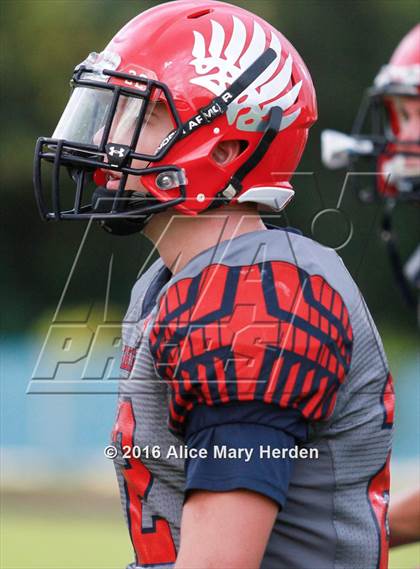 Thumbnail 2 in Mitchell @ Springstead photogallery.