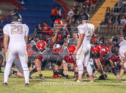 Thumbnail 2 in Mitchell @ Springstead photogallery.