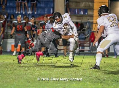Thumbnail 3 in Mitchell @ Springstead photogallery.