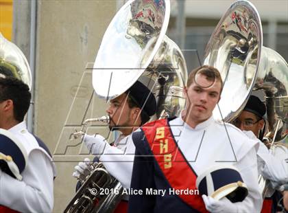 Thumbnail 2 in Mitchell @ Springstead photogallery.