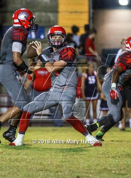 Thumbnail 1 in Mitchell @ Springstead photogallery.
