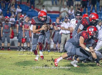 Thumbnail 3 in Mitchell @ Springstead photogallery.