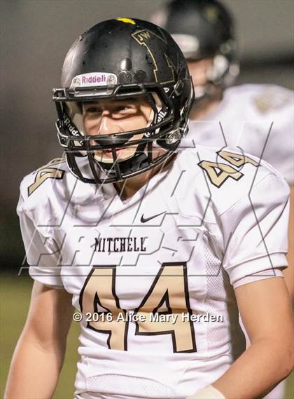 Thumbnail 3 in Mitchell @ Springstead photogallery.
