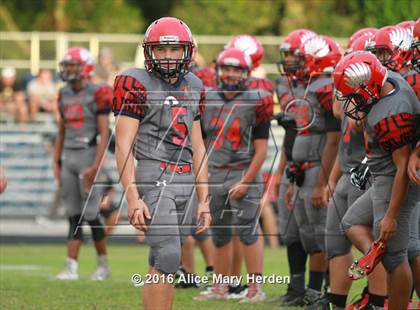 Thumbnail 1 in Mitchell @ Springstead photogallery.