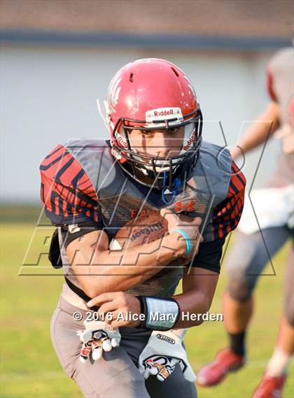 Thumbnail 2 in Mitchell @ Springstead photogallery.