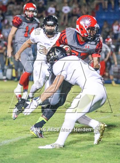 Thumbnail 2 in Mitchell @ Springstead photogallery.
