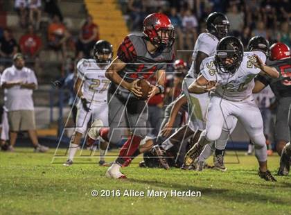 Thumbnail 2 in Mitchell @ Springstead photogallery.