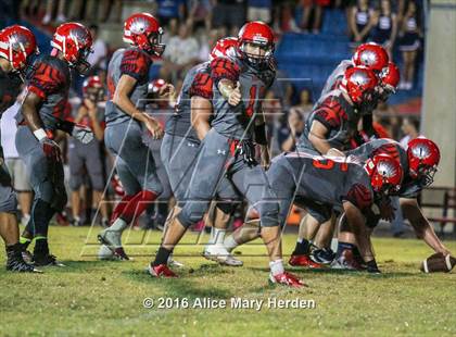 Thumbnail 3 in Mitchell @ Springstead photogallery.