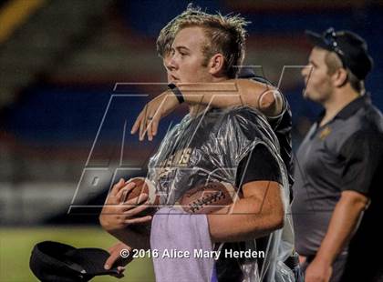 Thumbnail 2 in Mitchell @ Springstead photogallery.