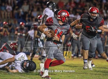 Thumbnail 1 in Mitchell @ Springstead photogallery.