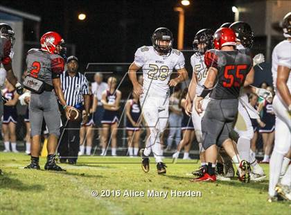 Thumbnail 1 in Mitchell @ Springstead photogallery.