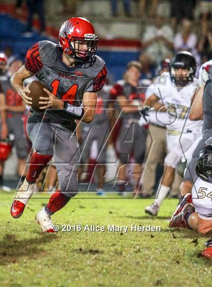 Thumbnail 2 in Mitchell @ Springstead photogallery.