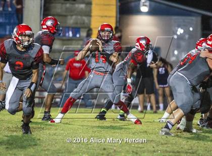 Thumbnail 3 in Mitchell @ Springstead photogallery.