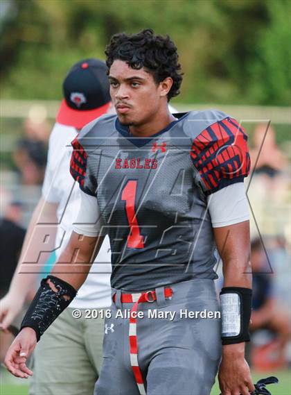 Thumbnail 1 in Mitchell @ Springstead photogallery.