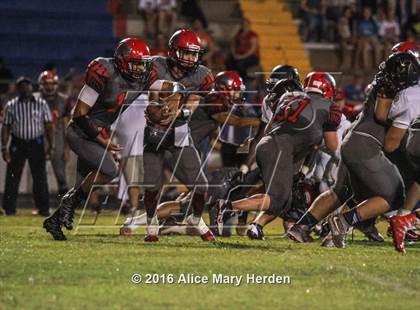 Thumbnail 1 in Mitchell @ Springstead photogallery.