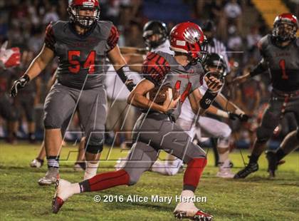 Thumbnail 2 in Mitchell @ Springstead photogallery.