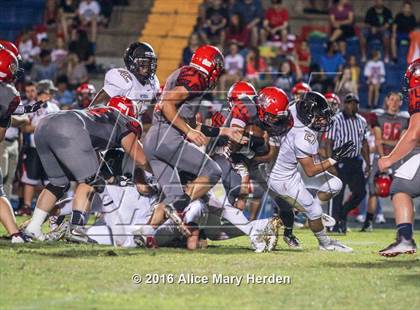 Thumbnail 3 in Mitchell @ Springstead photogallery.