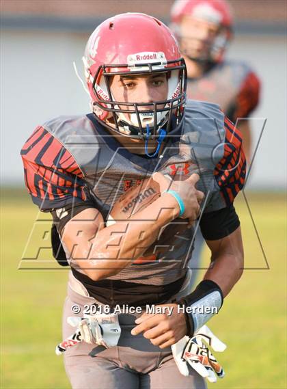 Thumbnail 1 in Mitchell @ Springstead photogallery.