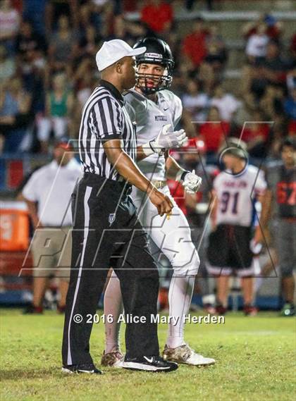 Thumbnail 3 in Mitchell @ Springstead photogallery.