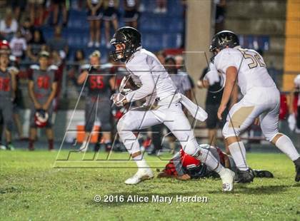 Thumbnail 1 in Mitchell @ Springstead photogallery.