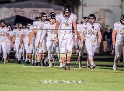 Thumbnail 2 in Mitchell @ Springstead photogallery.