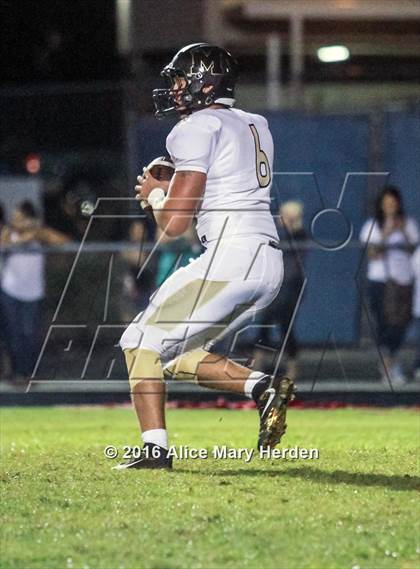 Thumbnail 2 in Mitchell @ Springstead photogallery.