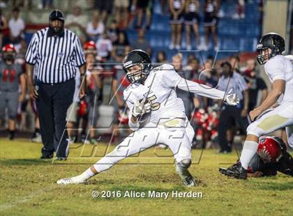 Thumbnail 2 in Mitchell @ Springstead photogallery.
