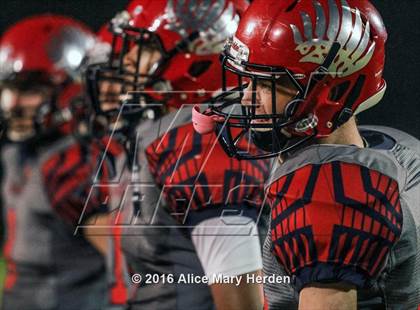 Thumbnail 2 in Mitchell @ Springstead photogallery.