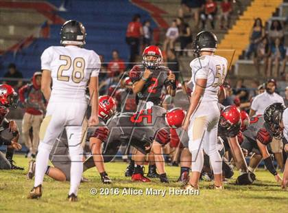 Thumbnail 1 in Mitchell @ Springstead photogallery.