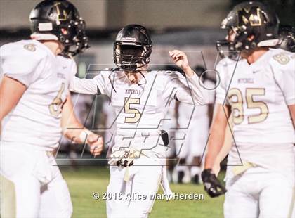 Thumbnail 3 in Mitchell @ Springstead photogallery.