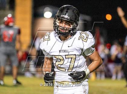 Thumbnail 2 in Mitchell @ Springstead photogallery.