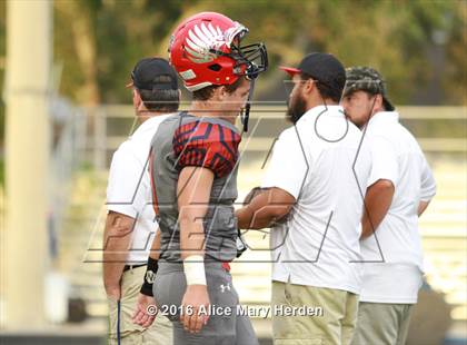 Thumbnail 3 in Mitchell @ Springstead photogallery.