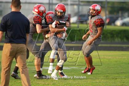 Thumbnail 3 in Mitchell @ Springstead photogallery.