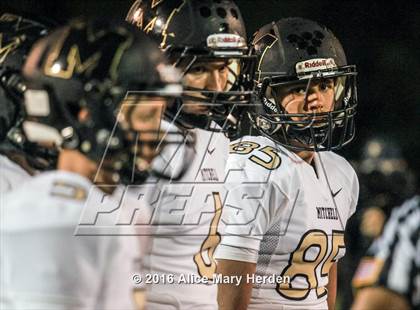 Thumbnail 2 in Mitchell @ Springstead photogallery.
